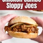 hand holding a chicken gumbo sloppy joe with potato chips