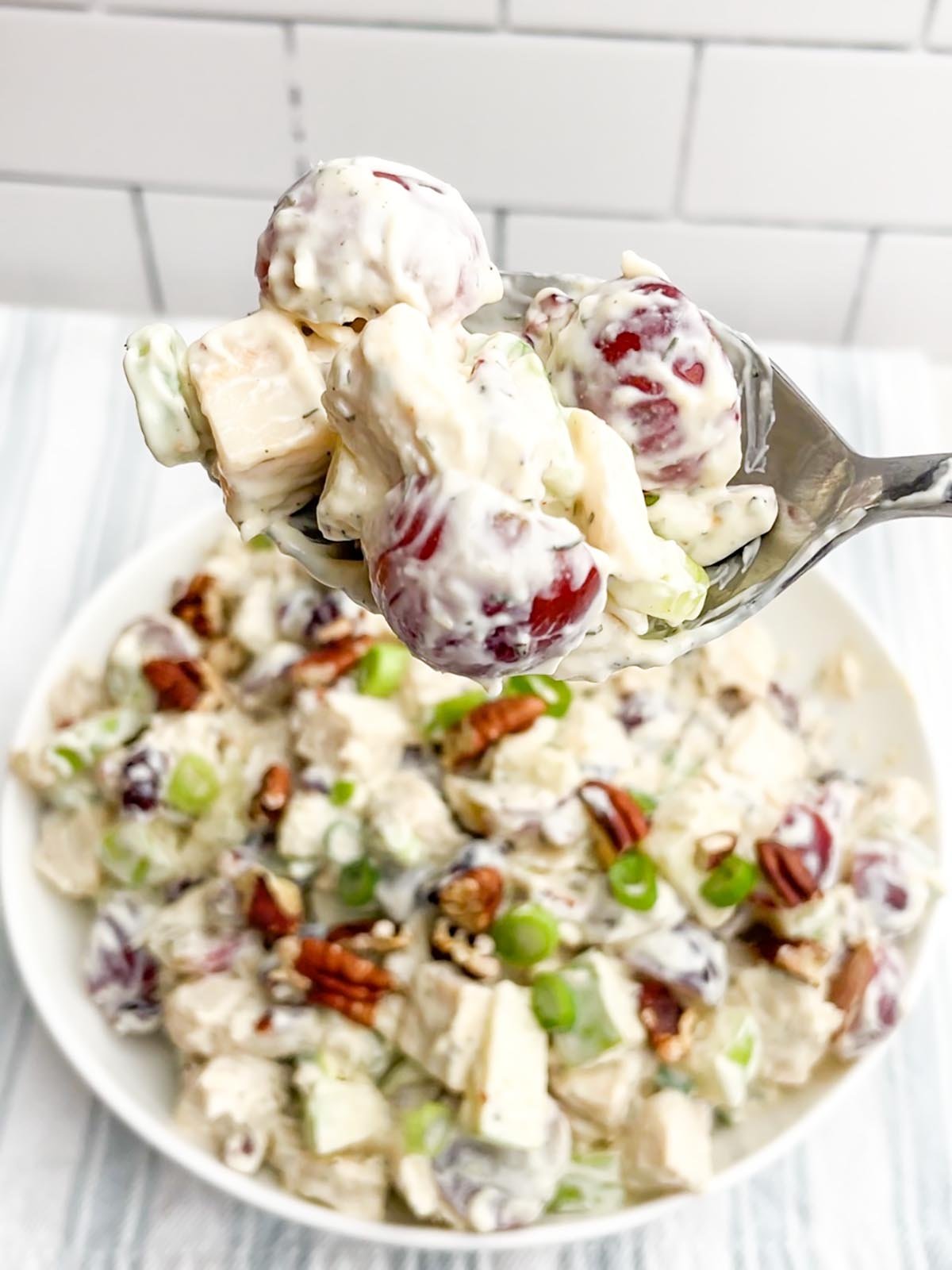 spoonful of cranberry pecan chicken salad with bowl of salad in background
