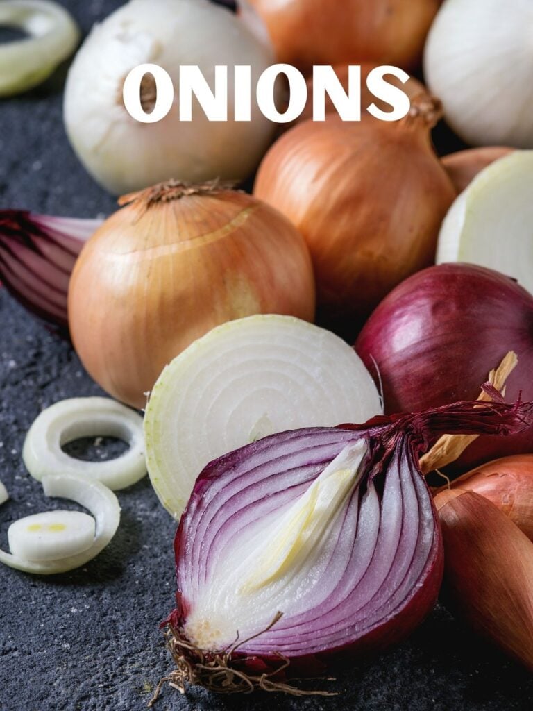 varietyof onions on a dark blue surface