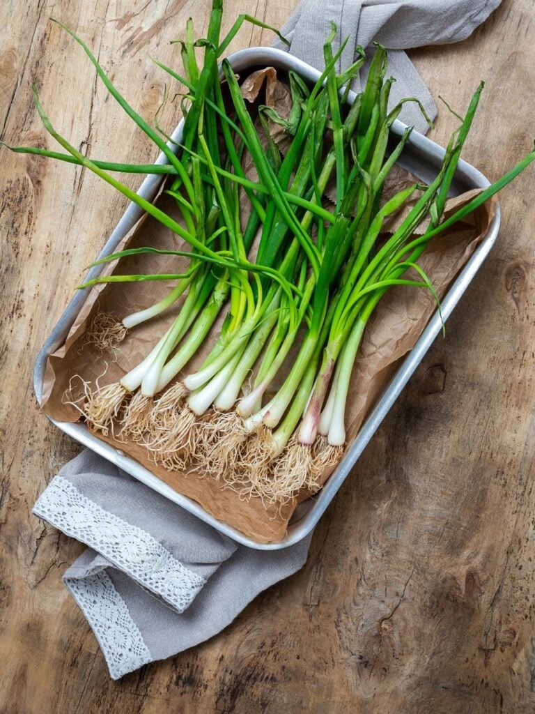 bunch of scallions on a sheet pan