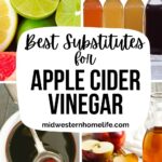 collage of various substitutes for apple cider vinegar