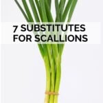 substitutes for scallions